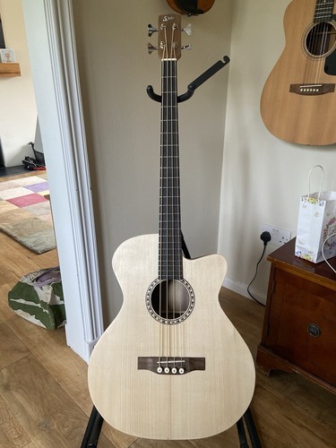 Bespoke acoustic bass - bass, guitar