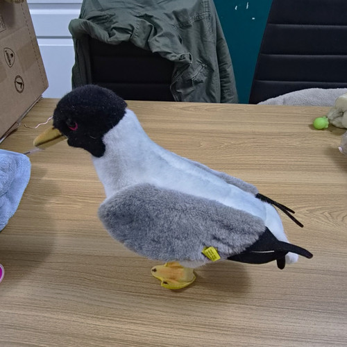 Vintage steiff seagull - seagull, movi