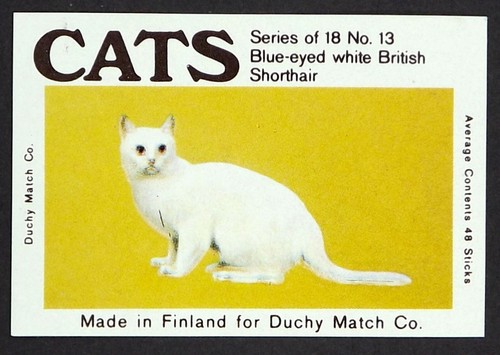 Matchbox duchy label - label, cats
