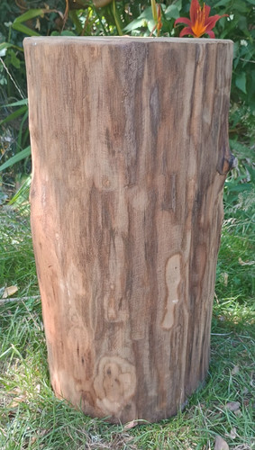 Tree stump seat log - , table