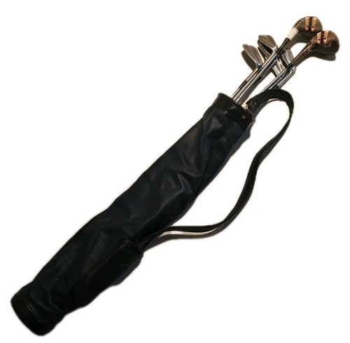 Vintage golf clubs - clubs, leather