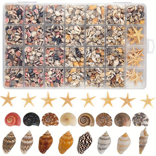 1000 pcs mini sea shells - 1000,