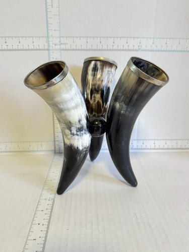 Vintage natural bull horn - vintage,