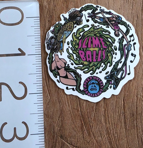 Santa cruz decal - santa,