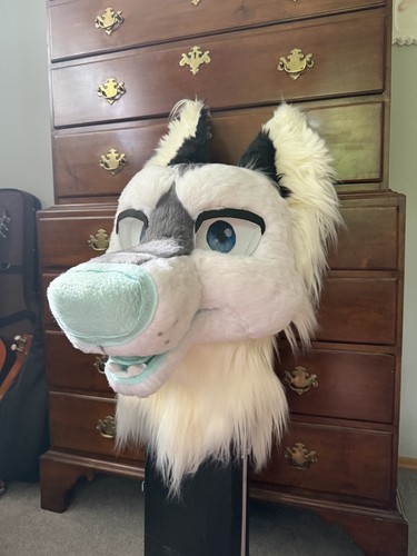 Fursuit canine head!