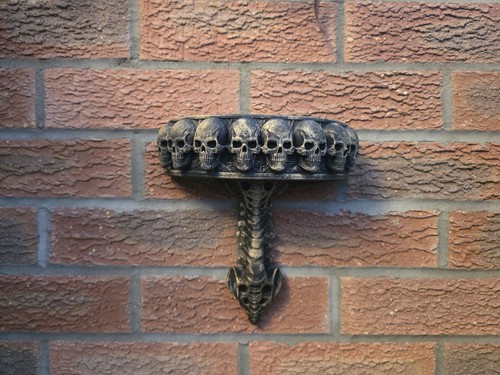 Gothic skull shelf spine wall - spine,