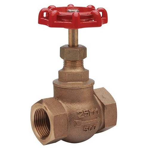 Bronze pn32 bspp - bspp, globe