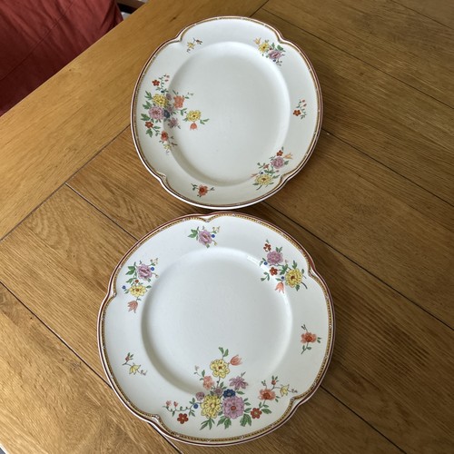 Johnson bros pareek veronese - johnson,