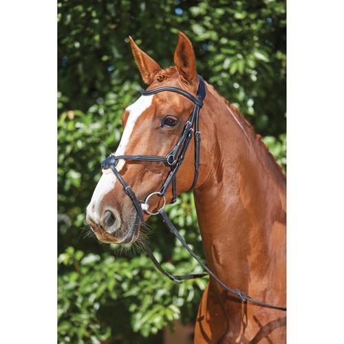 Collegiate comfitec grackle - collegiate,