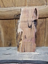 Live Edge Yew Slab (360)