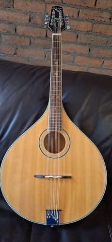 Mcbrides electric mandola - mcbrides,