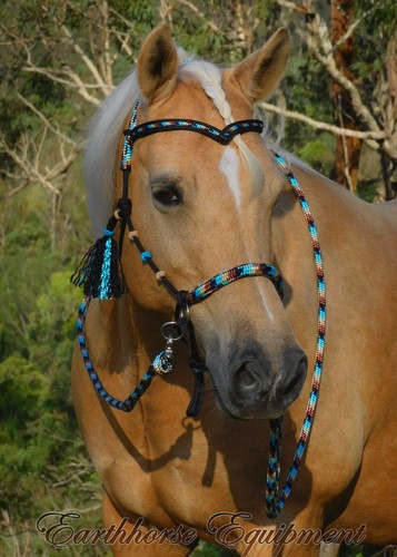 Earthhorse equipment brow - equipment,,