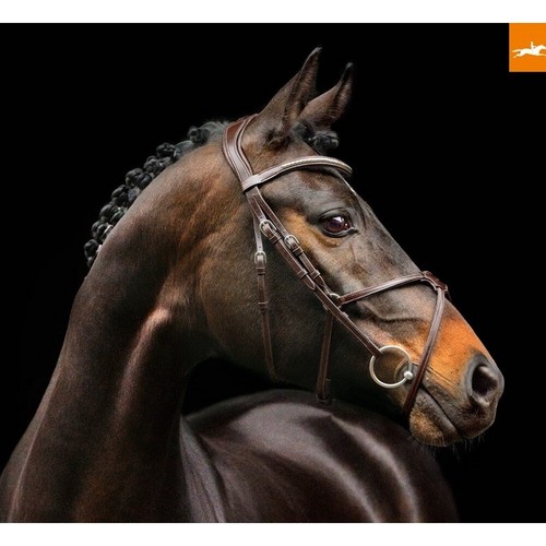 Schockemohle rio select - rio,