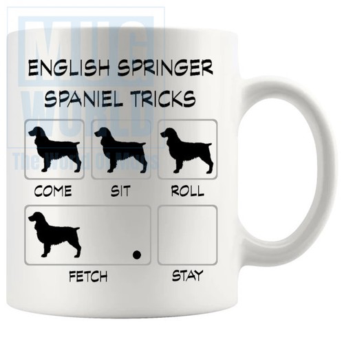 English springer spaniel - english,