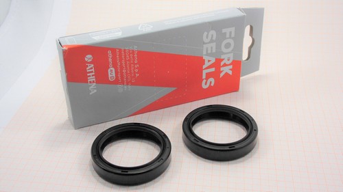 Fork simmering cagiva raptor - fork,