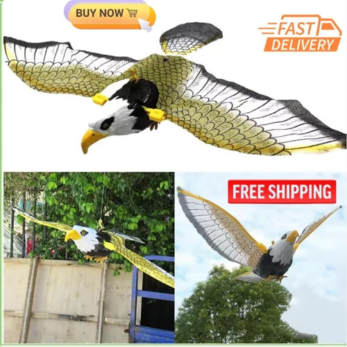 Flying bird hawk - hawk, scarer