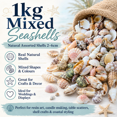 1kg natural mixed seashells - 1kg,