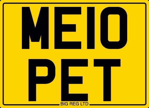 Mellow me10 pet dog cat - mellow😎,