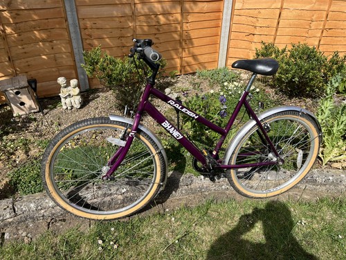 Ladies raleigh mountain bike - raleigh,