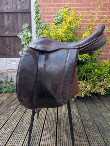 Marjorie fylde showing - marjorie, 17"