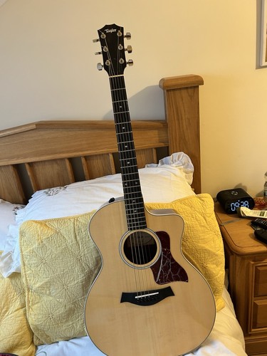 Taylor acousticguitar - taylor,