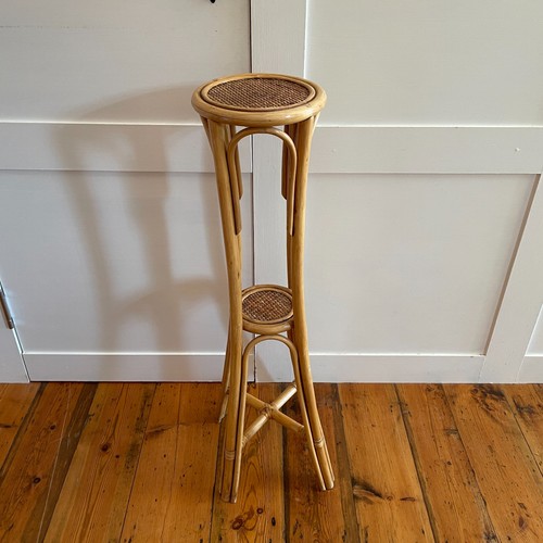 Bamboo plant stand tall - stand,