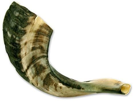 Authentic ram shofar horn from - horn,