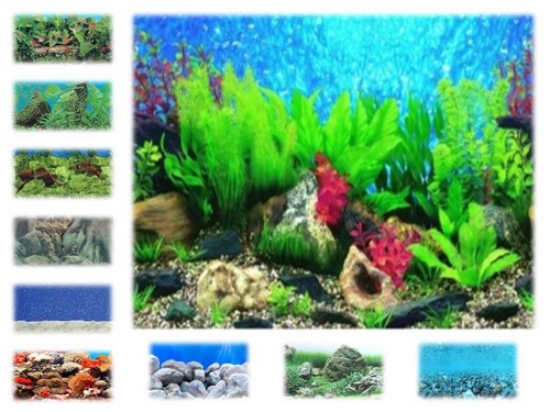 Aquarium vivarium plastic - /vivarium,