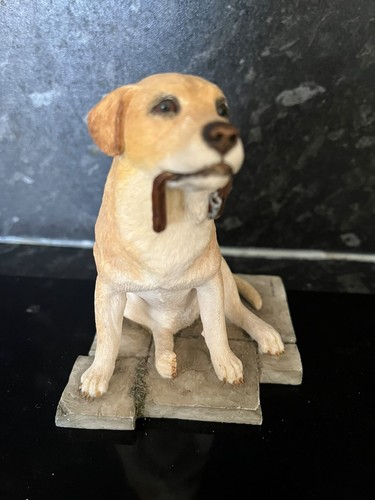 Sherratt simpson labrador - sherratt,