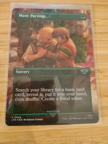 Mtg many partings - partings, (borderless)