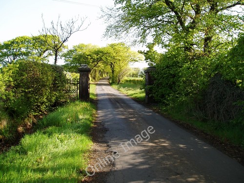 Photo 6x4 gate - photo, cuff