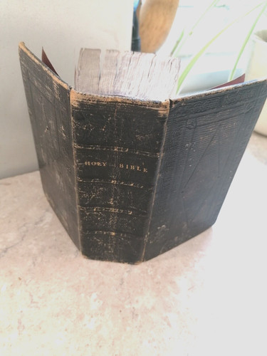 The holy bible old new - old,