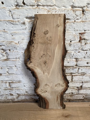 Waney edge live oak - edge,