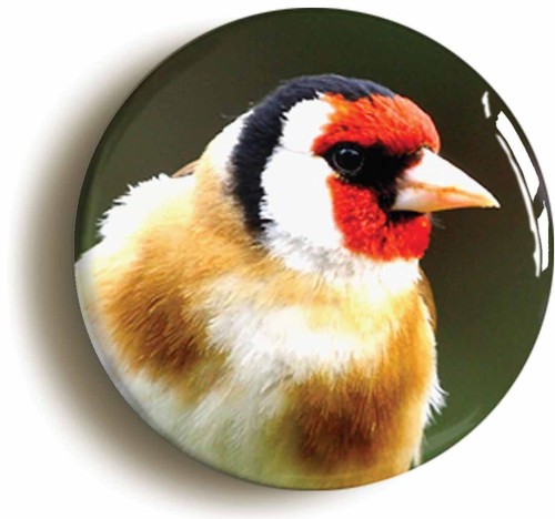 Goldfinch bird watching badge - goldfinch,