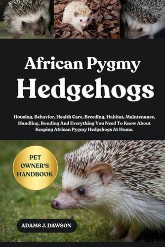 African pygmy hedgehogs - pygmy,