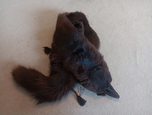 Vintage real fox fur stole - fox,