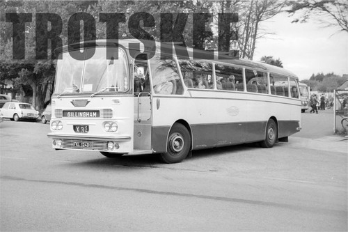 35mm negative maidstone - 35mm,