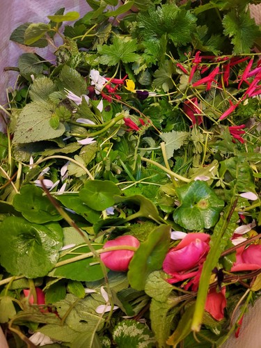 Large box fresh foraged - box,
