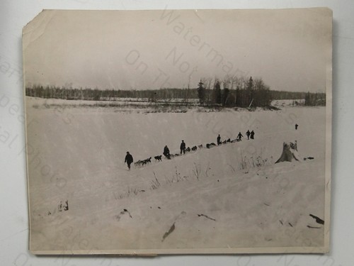 People dog sled teams snowy - dog,