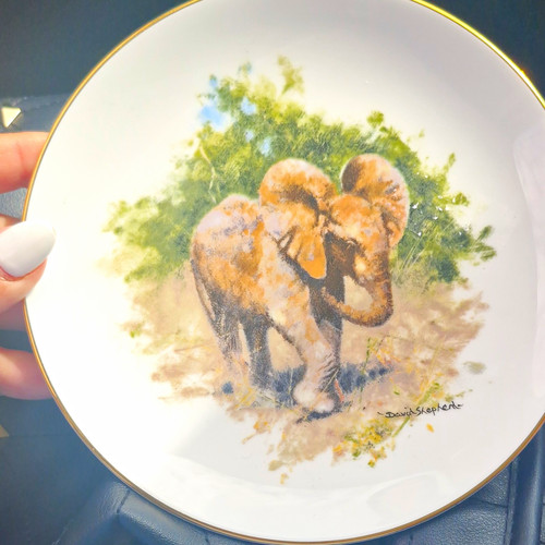 Wedgwood bone china - bone,