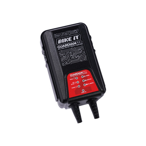 Bike 12v battery charger - 6v,