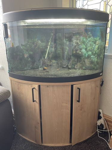 Fluval trigon 190 - fluval,