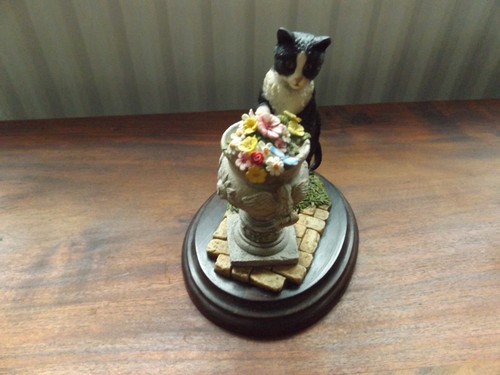 Country artists cat with - cat,