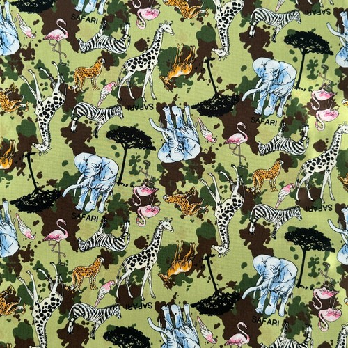 Safari animals giraffe leopard - animals,