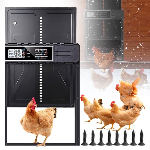 Automatic chicken coop - chicken, door