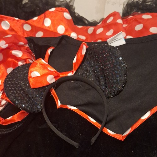 Fancy dress minnie - mouse, size