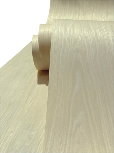 Maple wood veneer - wood,