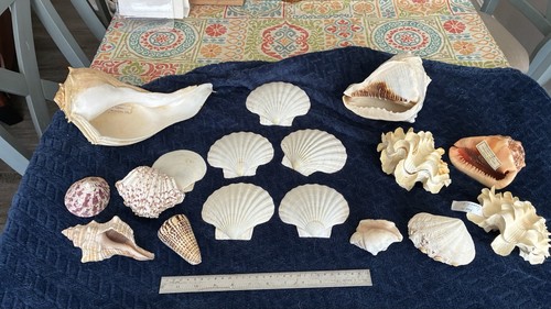 Lot large sea - lot,