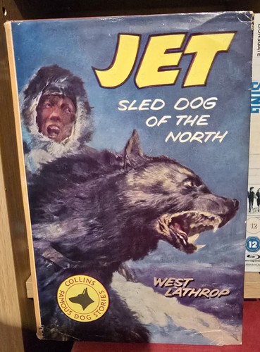 Jet sled dog of - dog, north