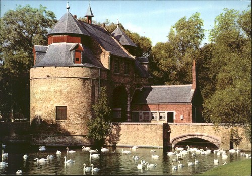 Vintage houtland postcard - vintage,